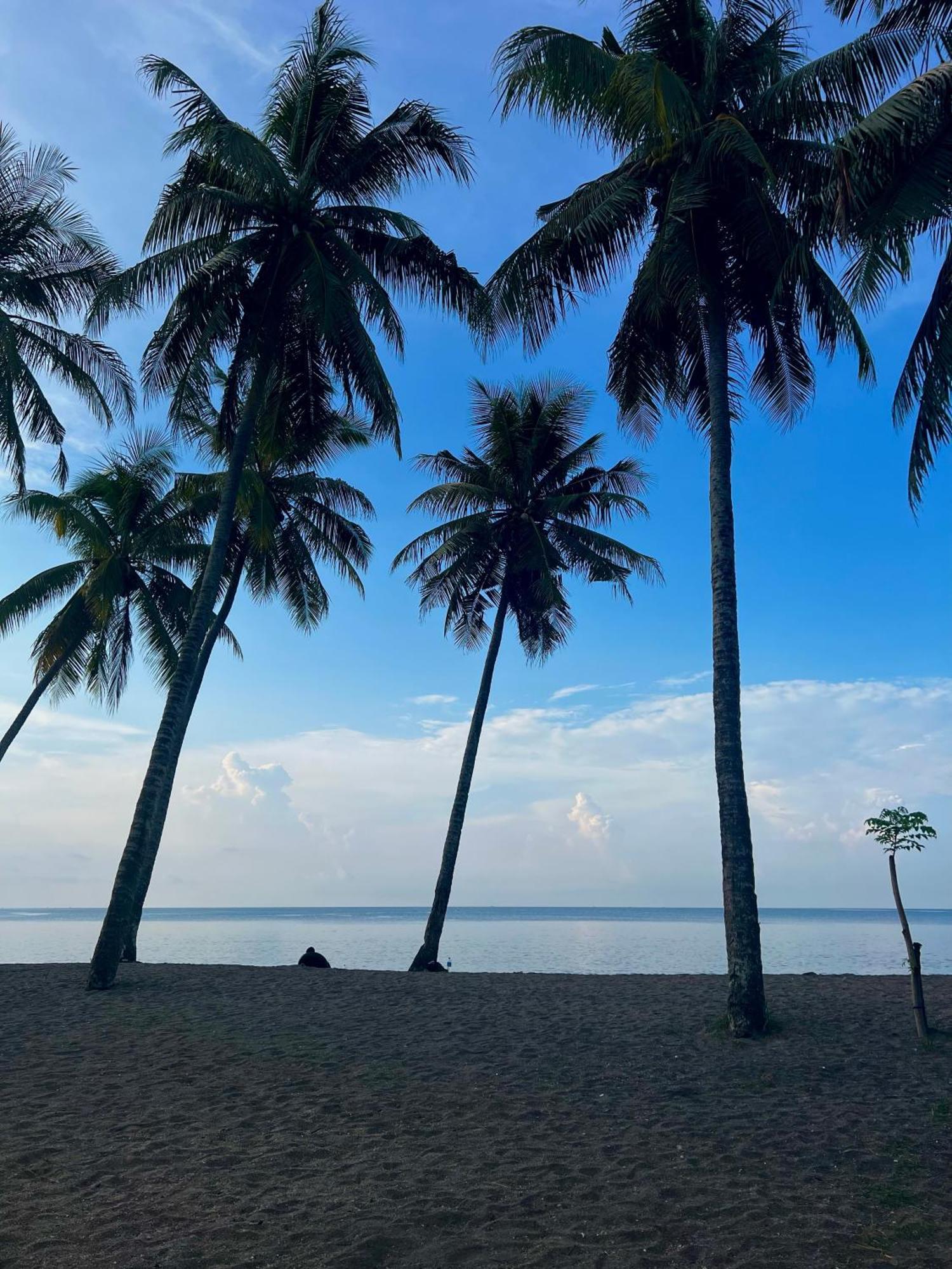 รินจานี บีช อีโค รีสอร์ต Hotel Tanjung  ภายนอก รูปภาพ